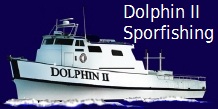 Dolphin II Sportfishing